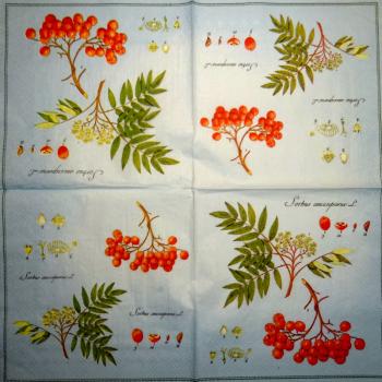 057 Beeren - 3-lagig - Ihr